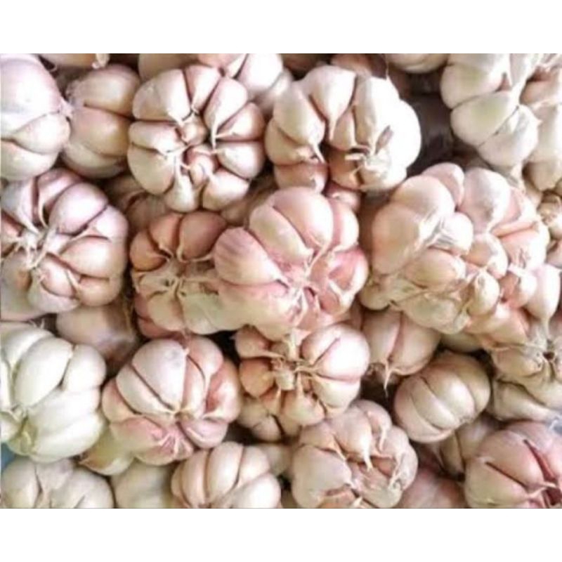

Bawang putih kemasan 1kg besar, kering, super