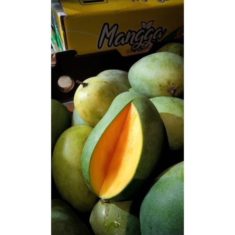 

mangga alpukat klonal 21 masak pohon asli bangil, mangga gadung klonal