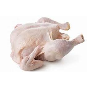 

Ayam Potong Fresh 1 ekor (1-1,2 kg) - Bekasi