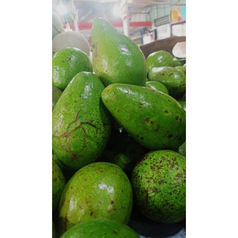 

Alpukat Ukuran Menengah/Sedang 1 Kilo