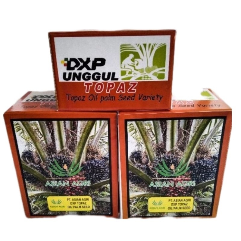 bibit sawit unggul DxP TOPAZ