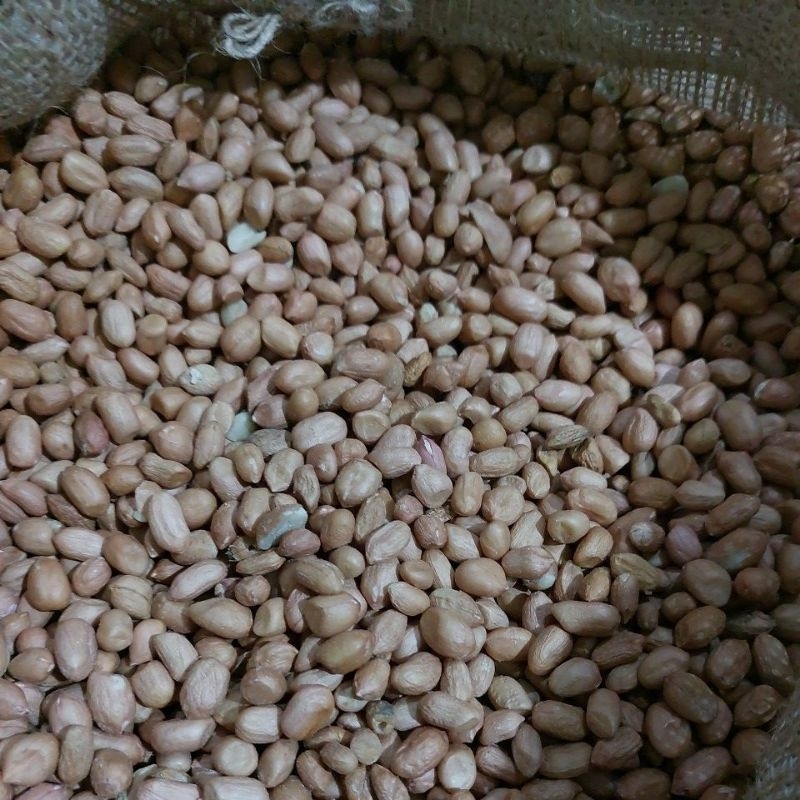 

kacang tanah curah kemasan 500gram..