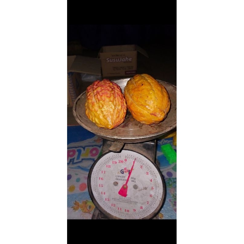 

BUAH KAKAO/COKLAT FRESH MURNI DARI POHON SENDIRI 1 KG