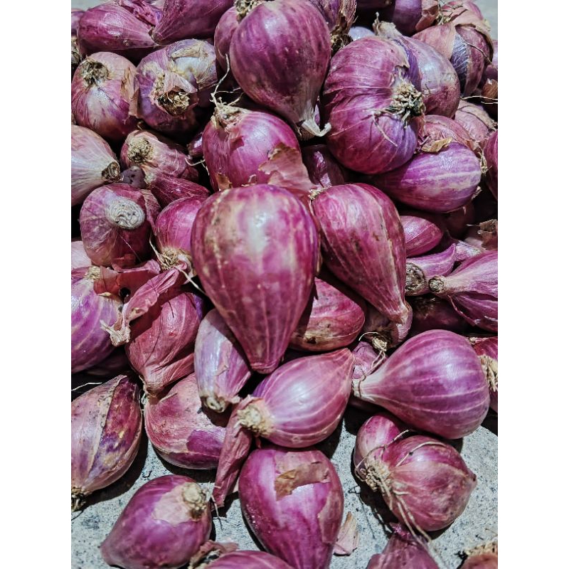 

Bawang Merah Fresh Kering 1KG - Bumbu Dapur Aman Kirim Jarak Jauh