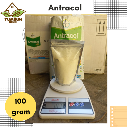 Antracol 100 gram Fungisida Bawang Merah, Bawang Daun, Cabai Dll