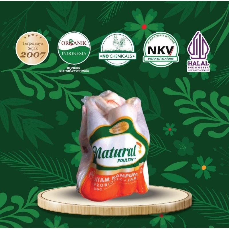 

AYAM KAMPUNG 700-800GR - AYAM PROBIOTIC - NATURAL POULTRY MEDAN