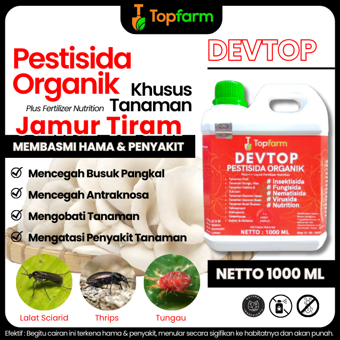 Obat Pembasmi Hama Jamur Tiram / Obat Jamur Dan Hama Tanaman Jagung / Obat Hama Jamur Tiram / Obat H