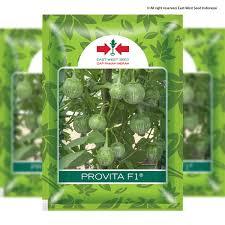 Bibit Terong lalap Provita F1 Cap Panah Merah