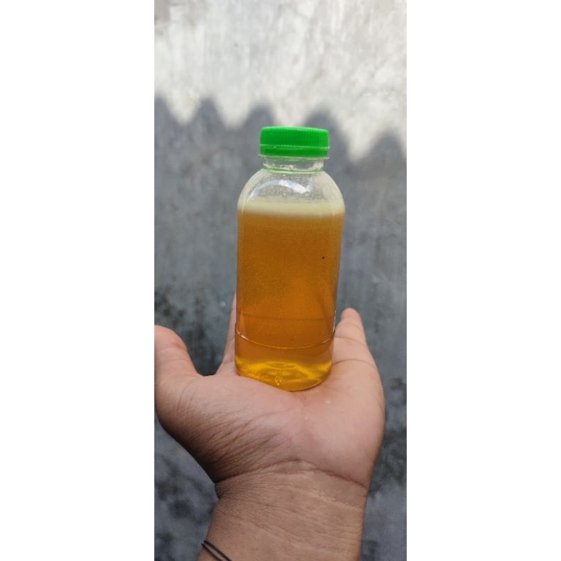 

MADU RANDU MURNI 250 ml | dijamin 100% asli tanpa campuran