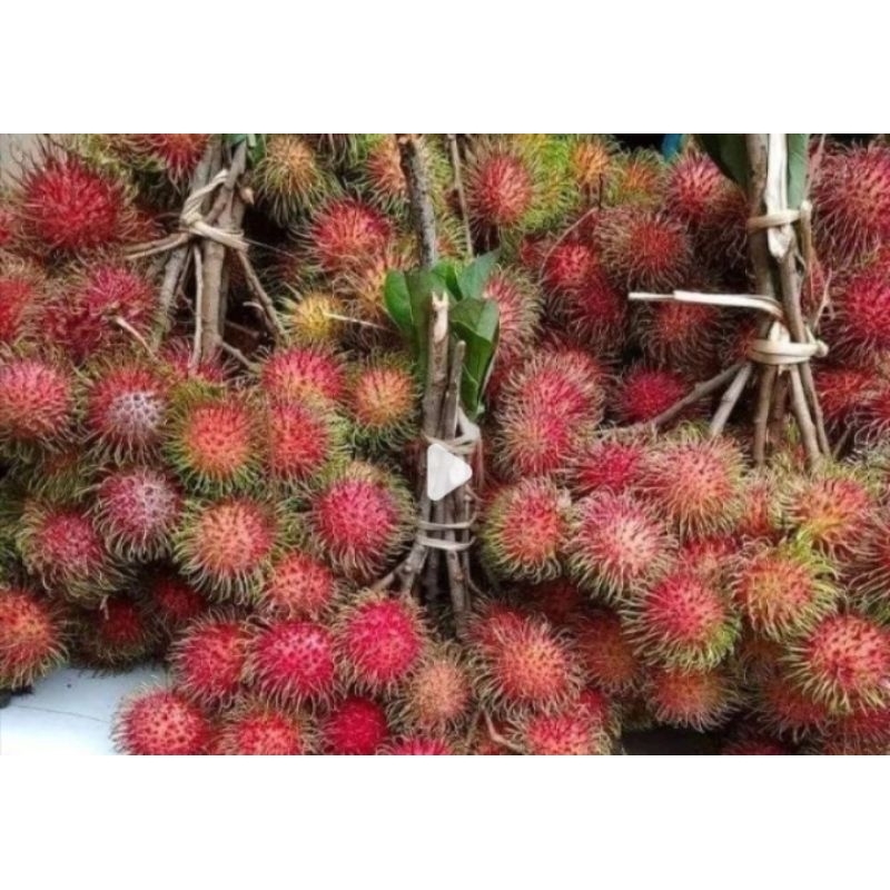 

rambutan fresh 1 kg