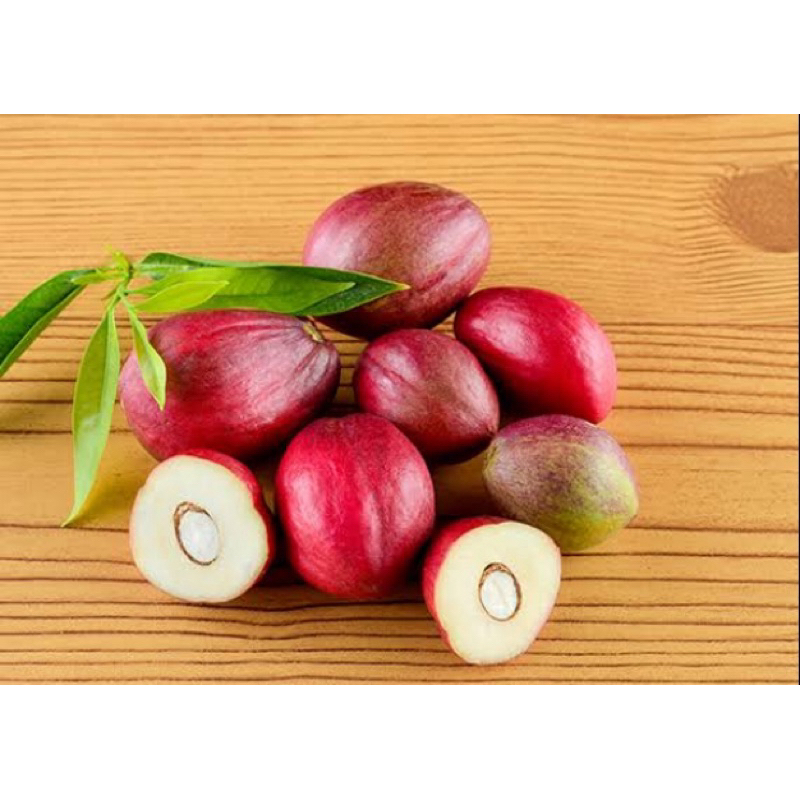 

Buah mahkotadewa segar / buah mahkota dewa 1 kg