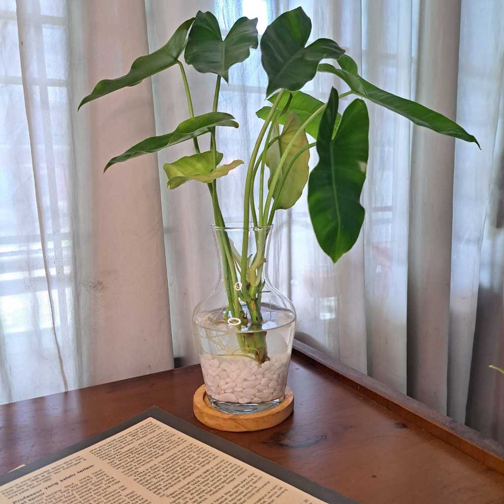 Vas Kaca Bening Vas Aestetik Vas Bunga Minimalis