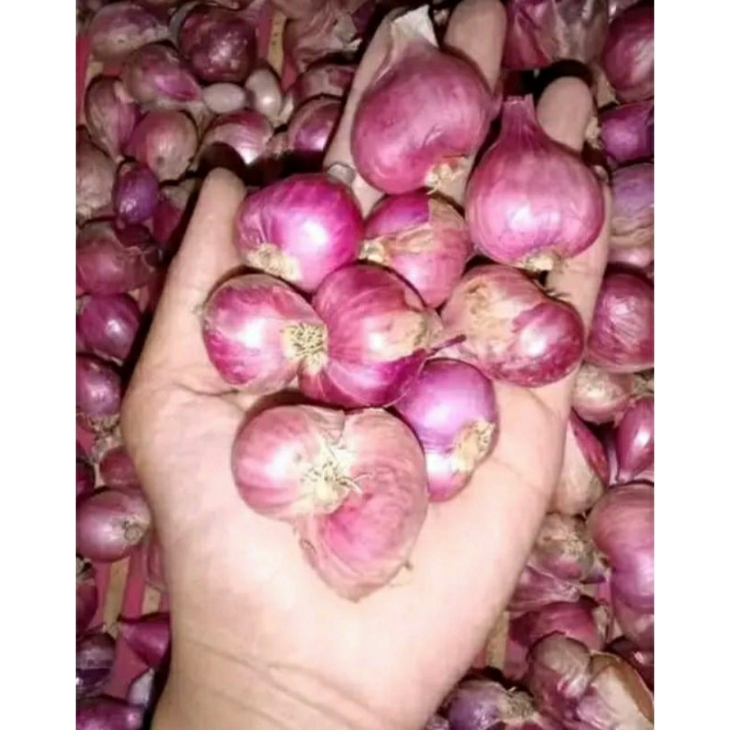 

bawang merah 250 grm