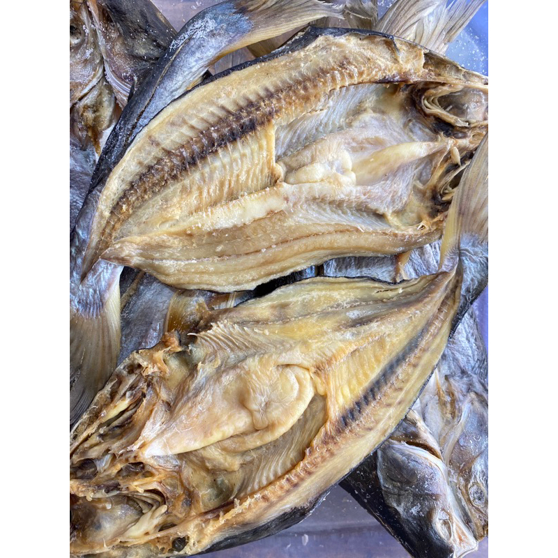 

garih patin