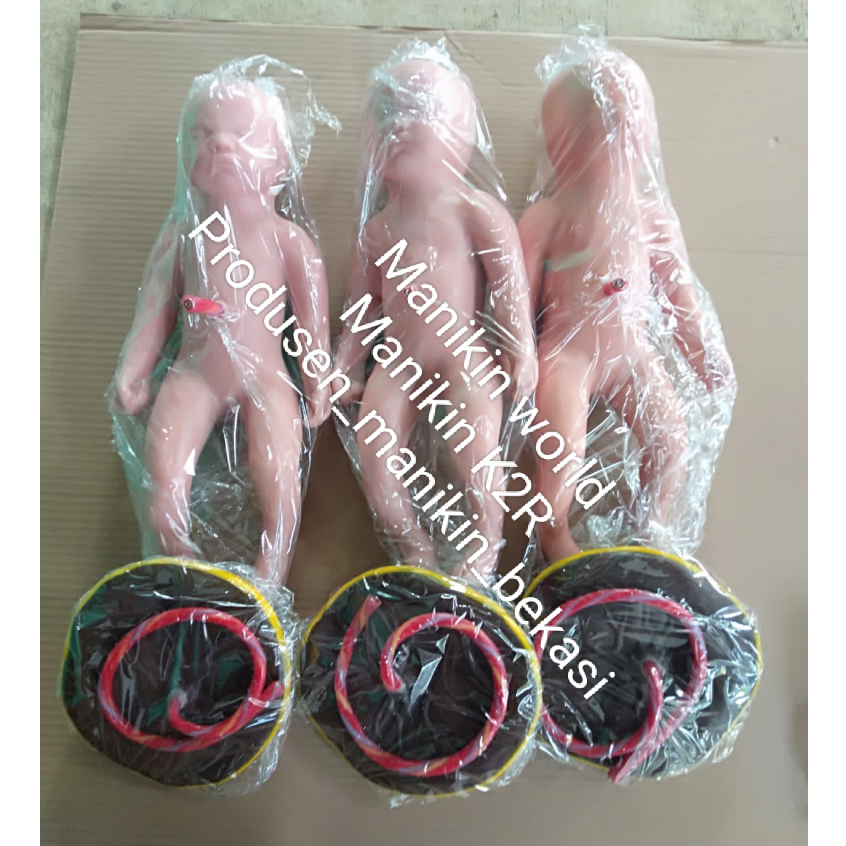[PRODUSEN] BAYI DAN PLASENTA / ALAT PERAGA / AKPER / AKBID / PHANTOM / MANIKIN / SILICONE