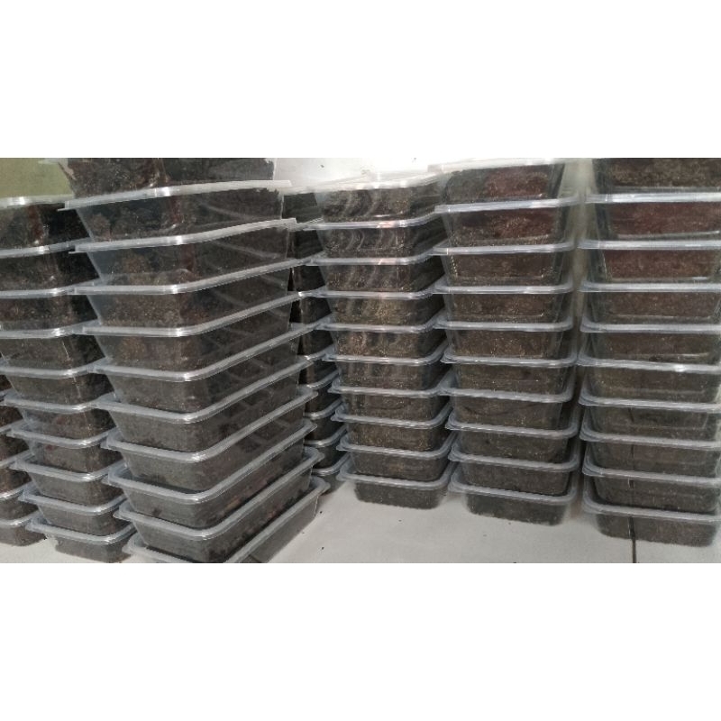 

ISI 5 PACK SNACK RUMPUT LAUT / PATAHAN NORI KEMASAN THINWALL 500ML