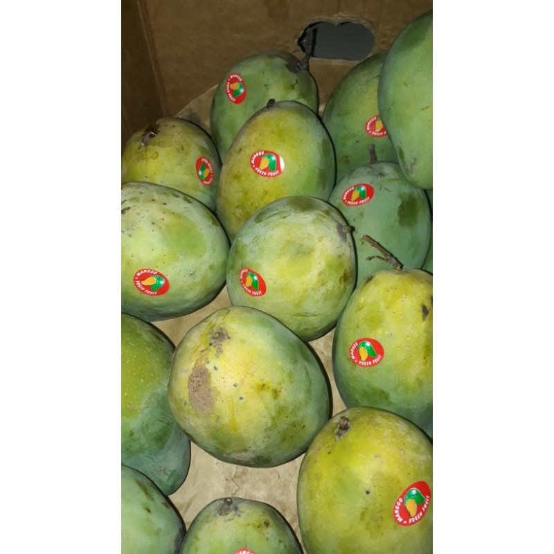 

Mangga Harum Manis Segar Baru 900gr-1kg