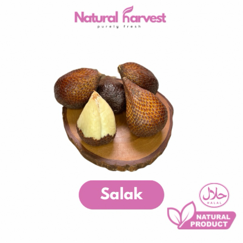 

Buah Salak Pondoh Super Lokal 1 Kg | NaturalHarvest!
