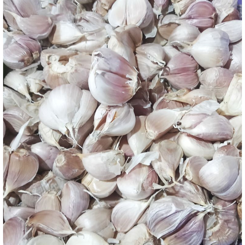 

Bawang Putih Kating 250g - 1kg / bawang putih / bawang kating / bumbu dapur / sayur / sayur fresh / sayuran murah