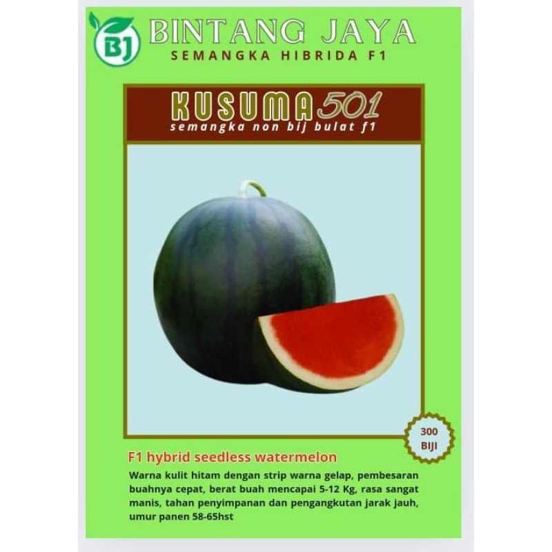 READY KuSuMa Semangka HiBrida  F1 BeniH bibit Semangka KUSUMA 501 Non Biji(KULITLEBIHGELAP)BintangJa