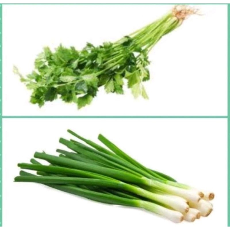 

Daun sup campur daun bawang