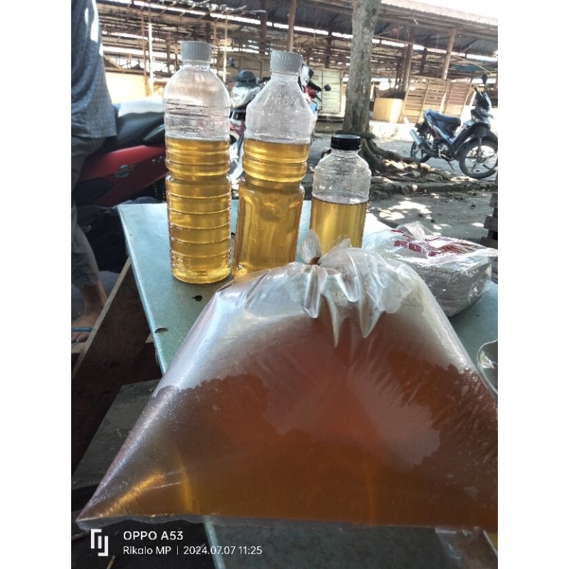 

madu lebah sialang