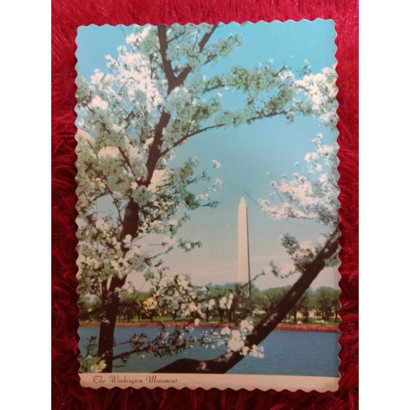 

Post Card USA The Washington Monument UN USED