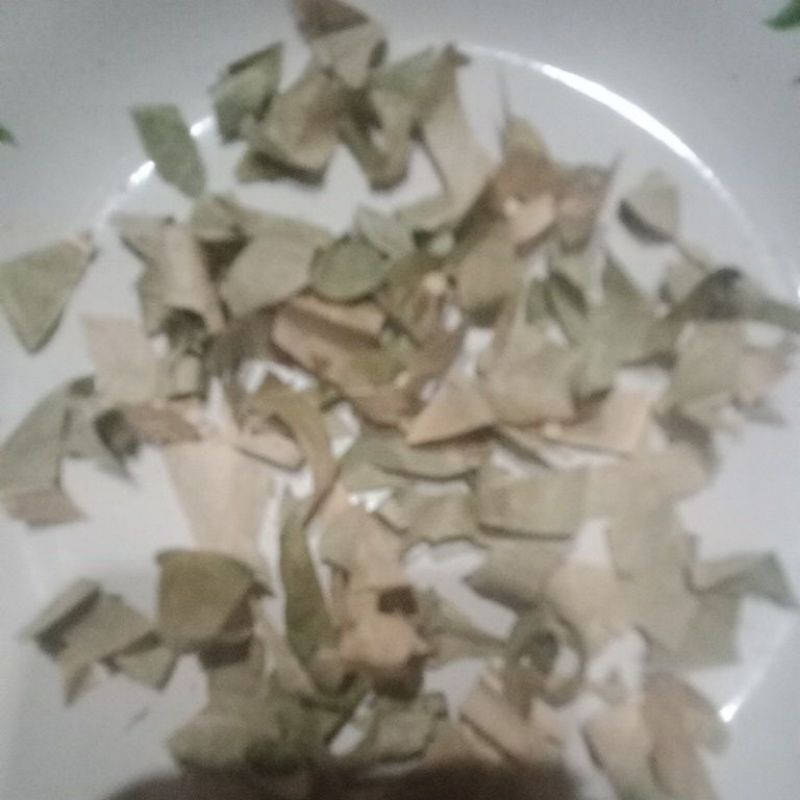 

Teh tea herbal daun sukun