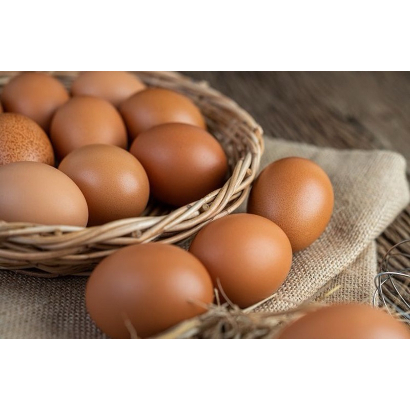 

telur