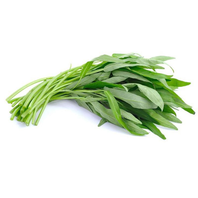 

kangkung 1-5 ikat / kangkung fresh / kangkung segar / kangkung murah / tumis kangkung / sayur / sayur fresh / sayuran murah