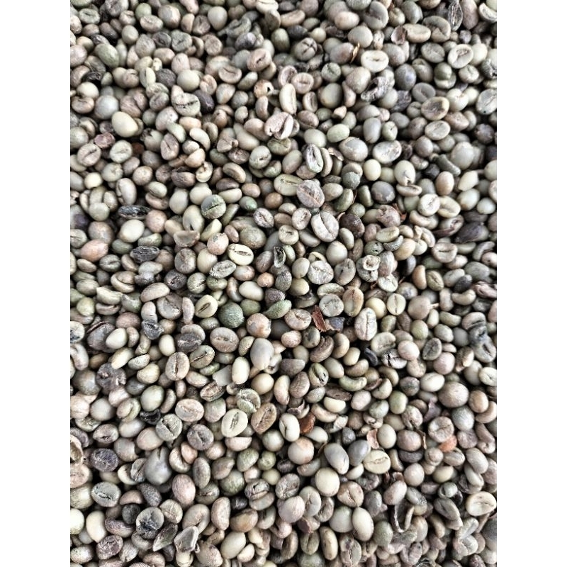 

Kopi hijau