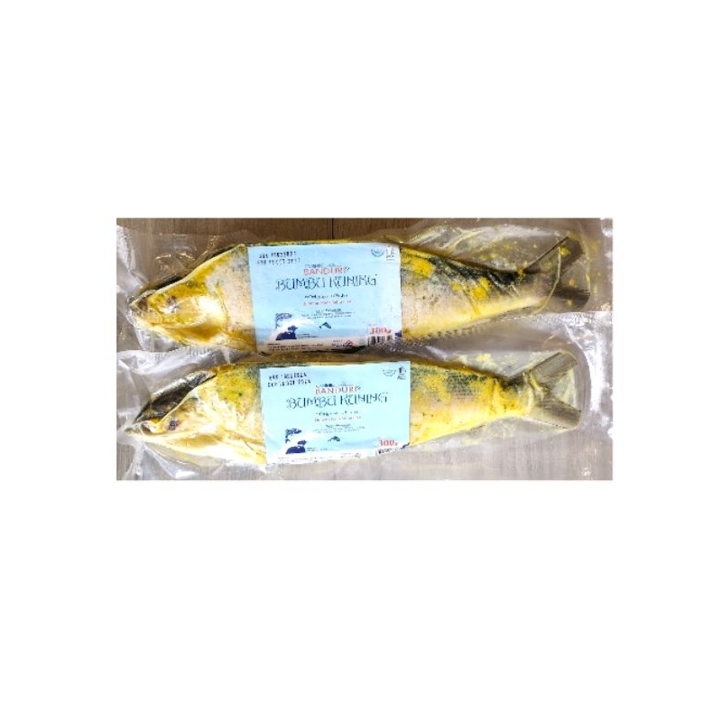 

Bandeng Bumbu Kuning Tanpa Duri Ikan Beku/ Frozen CMOOZ BANDURI