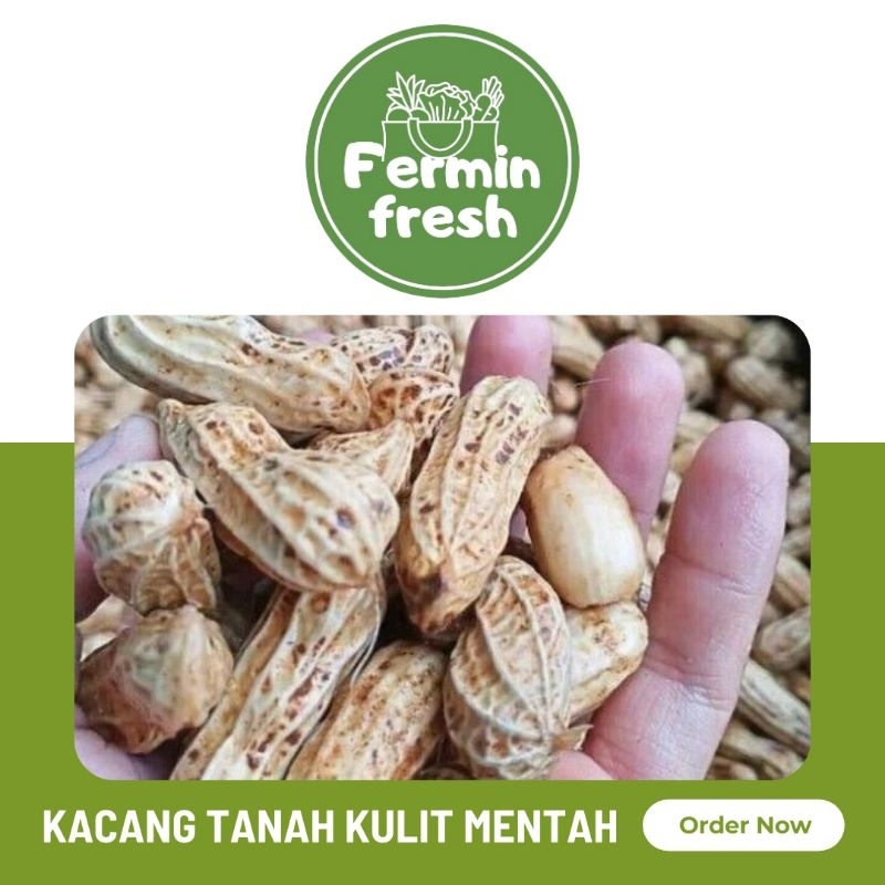 

Fermin Fresh, Kacang tanah kulit mentah 500 - 1000gr