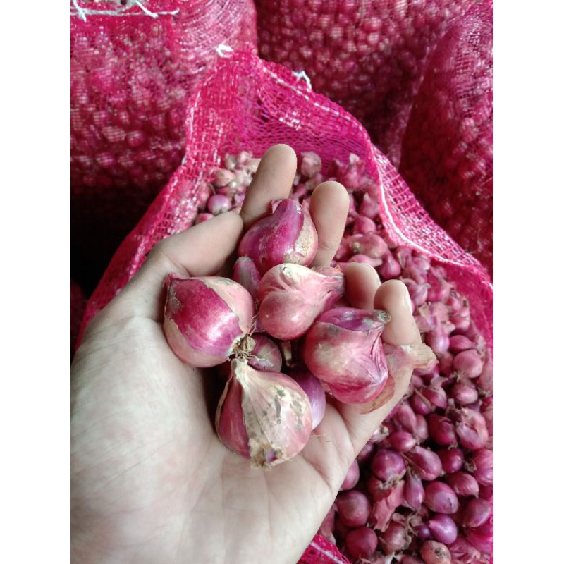 

Bawang Merah Berkualitas 500g , 1kg Brambang asli dari nganjuk