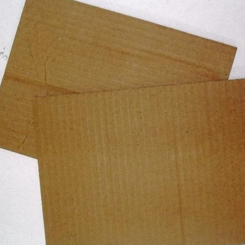 

Pilihan Packing Extra Dus