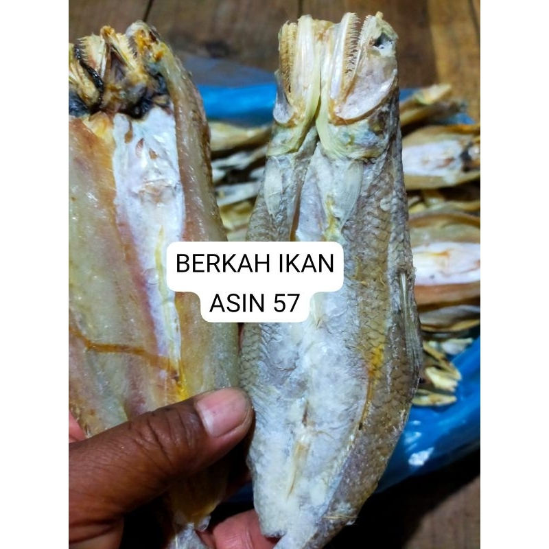 

PROMO MURAH!!! 500g IKAN ASEN BLOSO KERENG