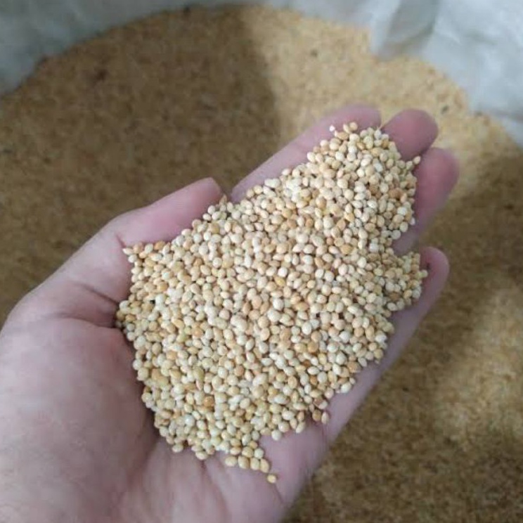 Grosir Terbatas  MILET PUTIH BERSIH VITA 1 KG