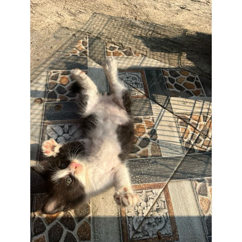 jasa teman ngobrol hal yang sedih sedih