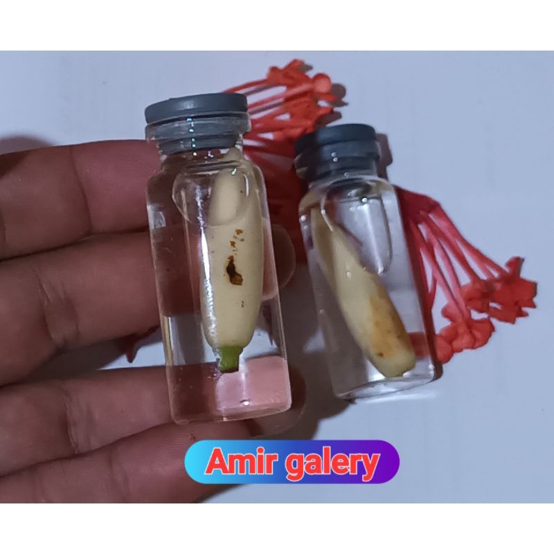 

10ml air kantil sekar mayang