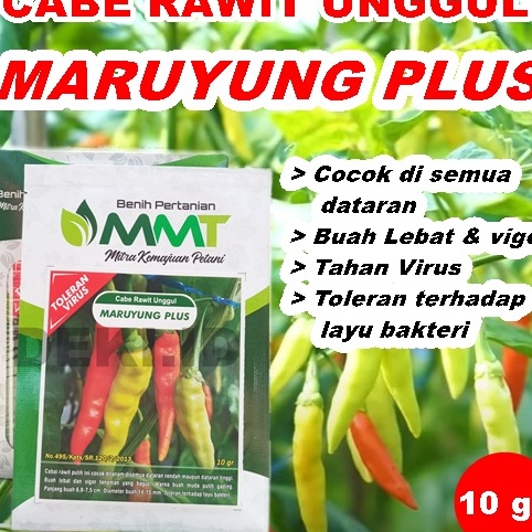 Bonuskan Benih Cabe Rawit Maruyung Plus 1 Gram Bibit Cabai Unggul MMT