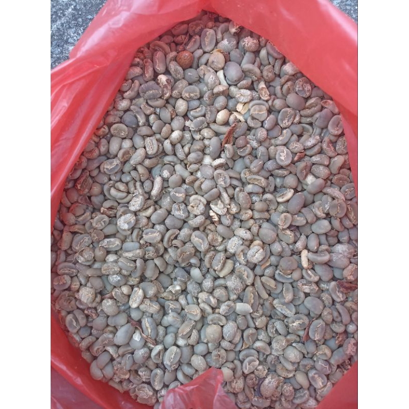 

Green bean kopi gayo