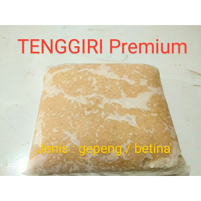 

TENGGIRI gepeng premium Pancing
