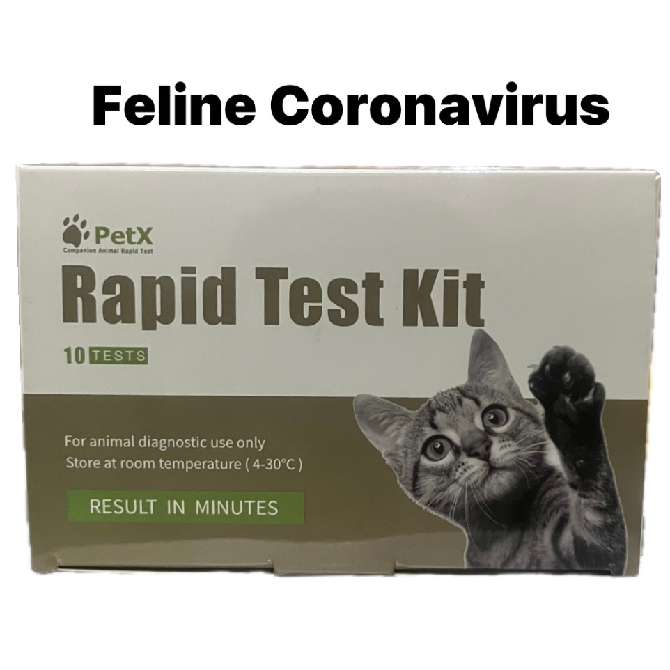 Petx Feline Coronavirus (FCoV) Combo Antigen Antibodi Rapid Test Hewan