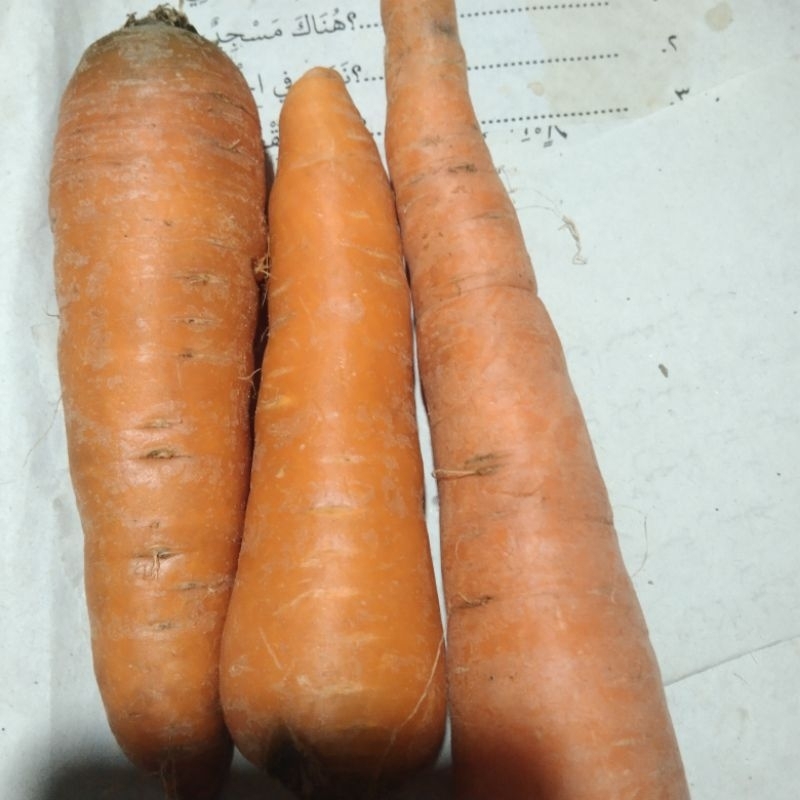 

wortel buncis 500 gr-1 kg fresh.