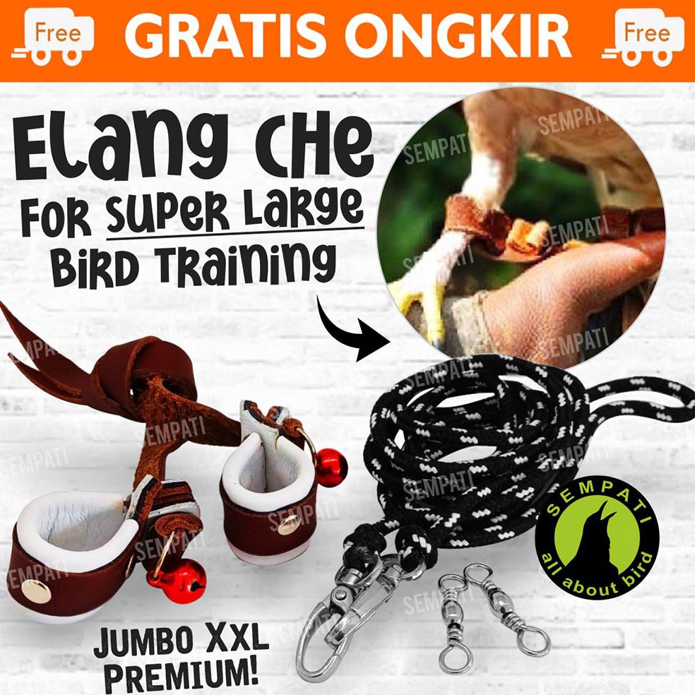 KODE V94F Angklet Celepuk Anklet XXL Tali Kaki Burung Hantu Elang DM CHE JHE BUBO WBSE IBE Tali Peng