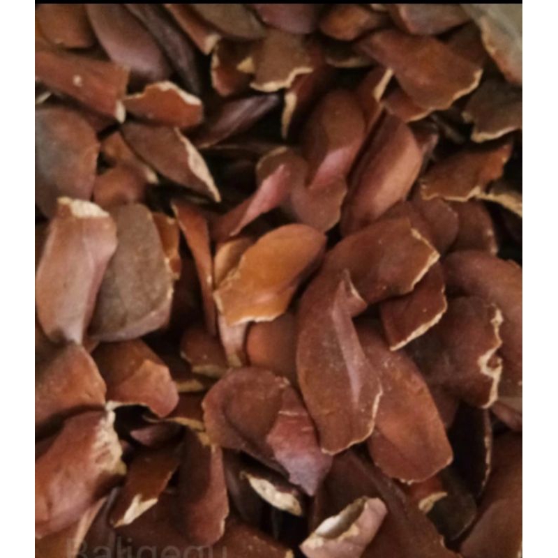 

Biji Mahoni Asli Herbal 1kg