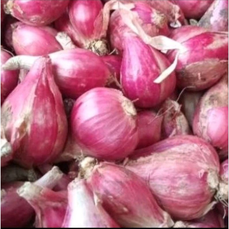 

MURAH..!! Bawang merah 1kg