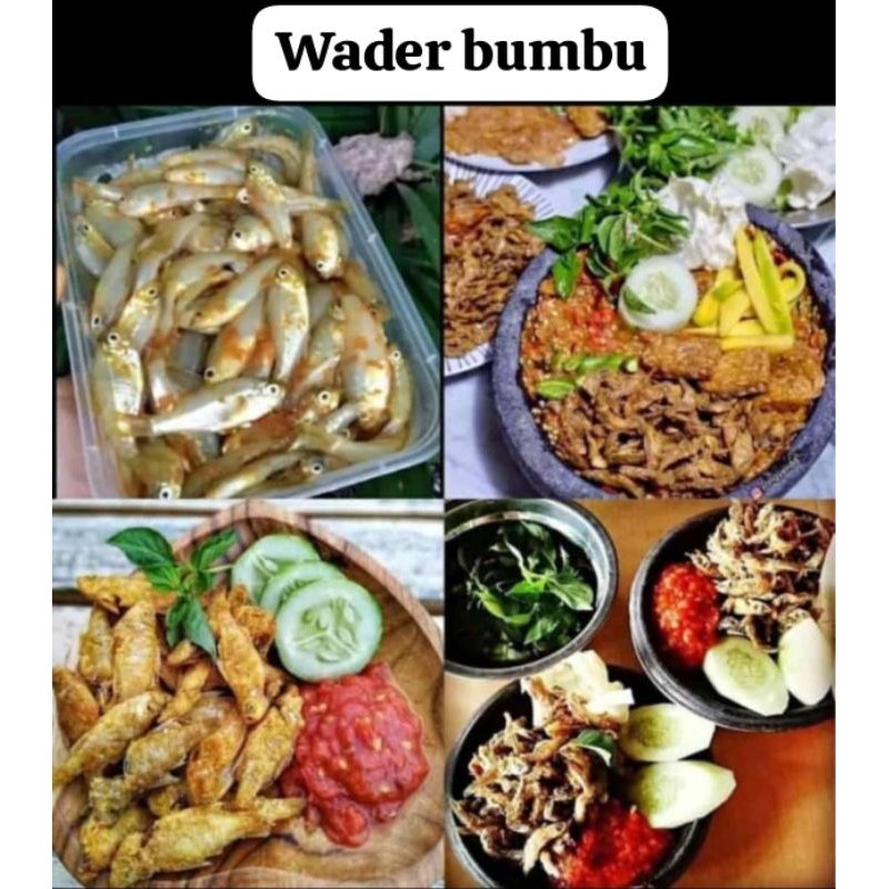 

Wader Bumbu Kemasan Box Frozen