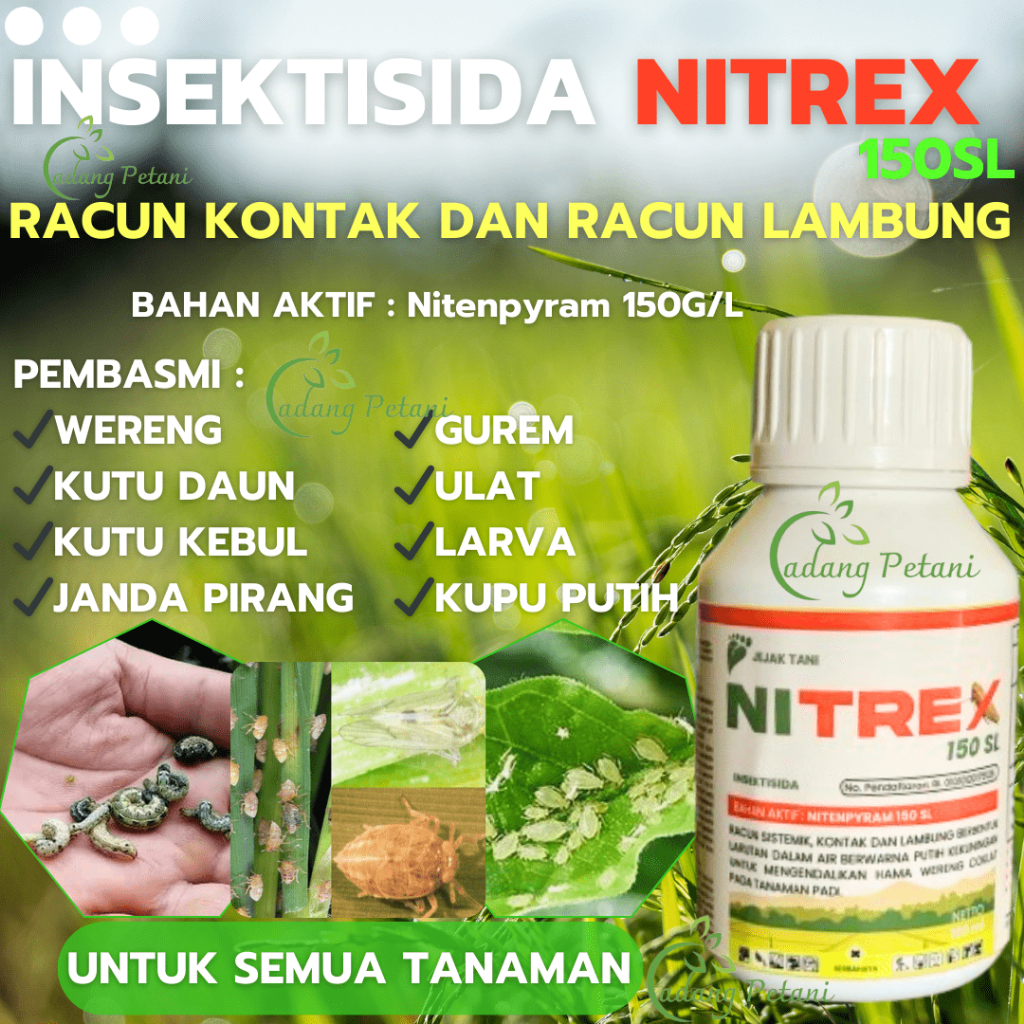 NITREX INSEKTISIDA BASMI HAMA ULAT, GUREM, JANDA PIRANG, KUTU, DLL, bahan aktif NITENPYRAM 150 SL