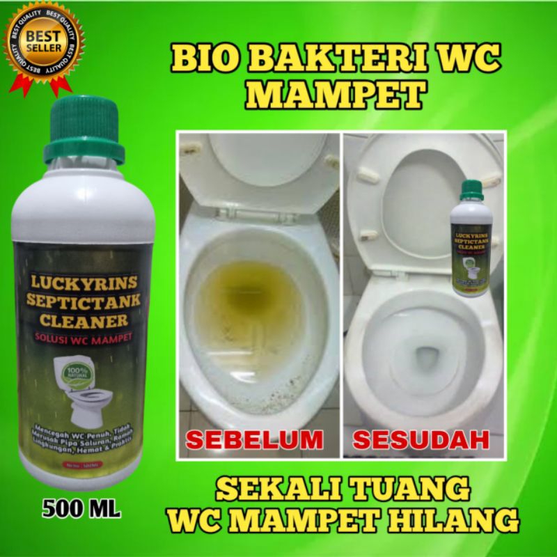 BIO BAKTERI WC MAMPET